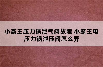 小霸王压力锅泄气阀故障 小霸王电压力锅泄压阀怎么弄